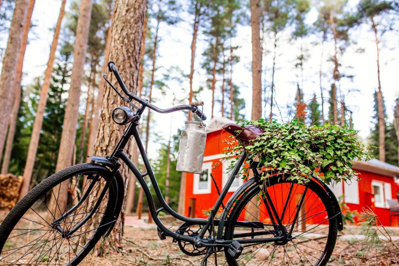 Ferienhaus Waldhaus Emma *